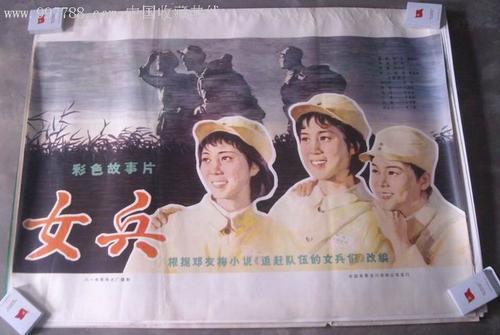 做个假夏威夷驾照